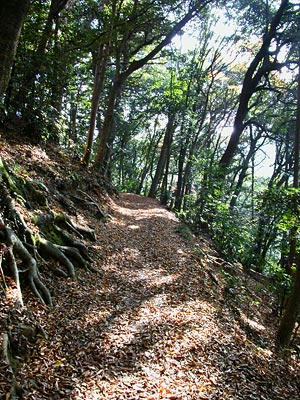 高尾山