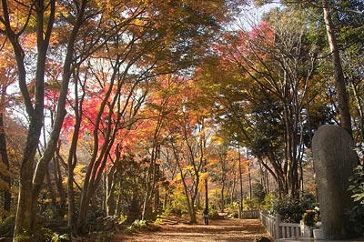 高尾山
