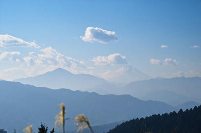 高尾山からの富士山