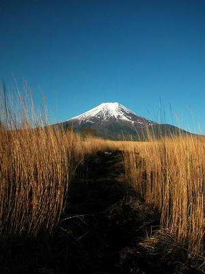 富士山＠北富士演習場