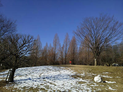 相模原北公園の雪景色
