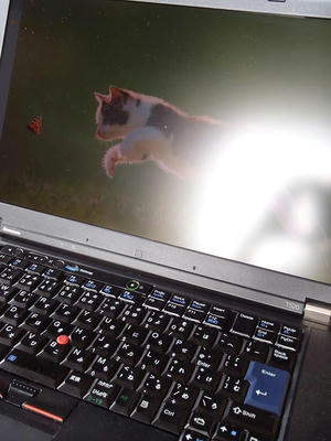 ThinkPad T520ノングレア液晶に光を当てて撮影