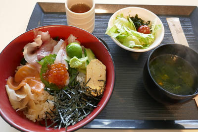 サーモン、ハマチ、えび、いくら、玉子焼等が載った海鮮丼。