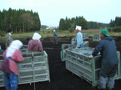 DSCF2072.jpg