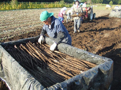 DSCF2069.jpg