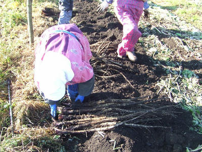 DSCF2054.jpg