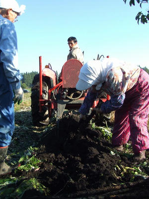 DSCF2047.jpg