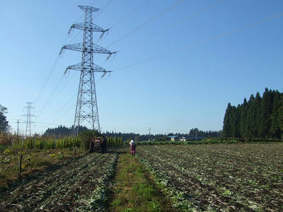 DSCF2040.jpg