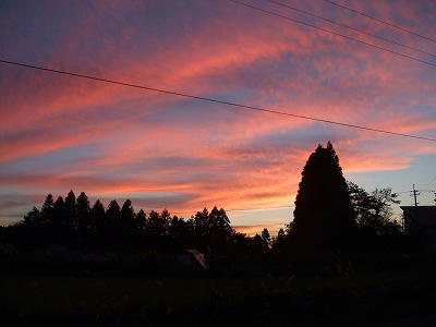 DSCF2180.jpg