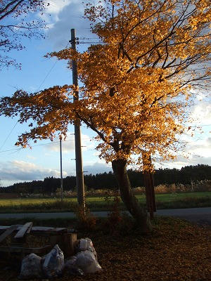 DSCF2355.jpg