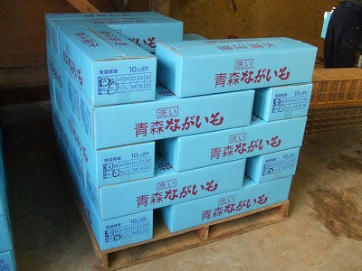 DSCF2428.jpg