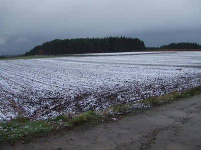 DSCF2438.jpg