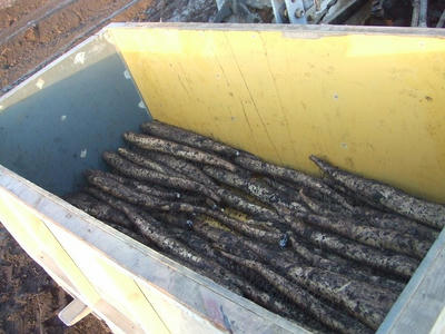 DSCF2470.jpg