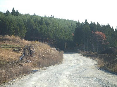 DSCF2504.jpg