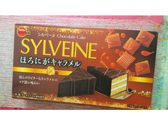 ブルボン シルベーヌ ほろにがキャラメル