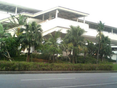 TS370399.JPG