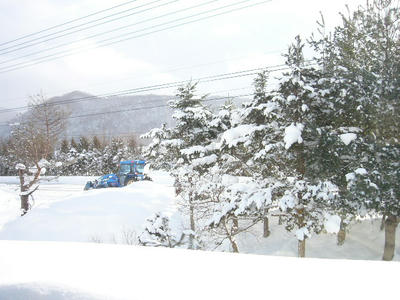 P1010290.JPG