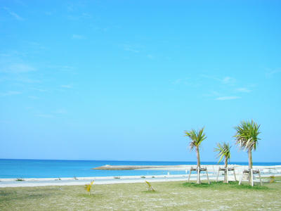 27ff5a7djpeg