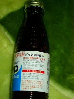 P1010355.JPG