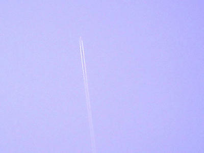 TS370751.JPG