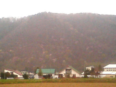 TS370925.JPG