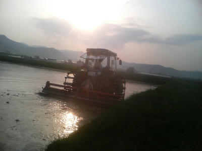 TS370945.JPG