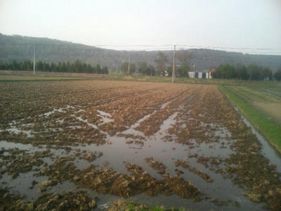 TS370944.JPG