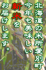 kicyouanimationbanner.gif