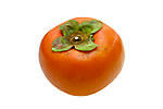 persimmon01.jpg