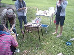 bbq