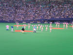 56789.jpg