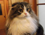 DSCF0101.JPG