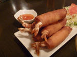 P1000120.JPG