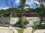 P1010020.JPG