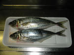 100-0023_IMG.JPG