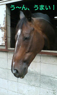 すいか大好き♪