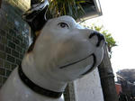 DSCN0466.JPG