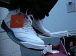 DSCN0507.JPG