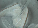 DSCN0679.JPG
