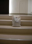 DSCN0995.JPG