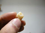 DSCN1009.JPG
