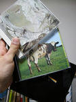 DSCN1040.JPG