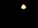 DSCN1112.JPG