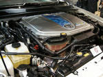 DSCN1144.JPG