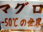 DSCN1445.JPG