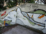 DSCN1550.JPG