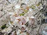 DSCN2067.JPG