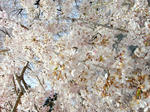 DSCN2068.JPG
