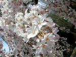 DSCN2079.JPG