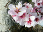 DSCN2090.JPG
